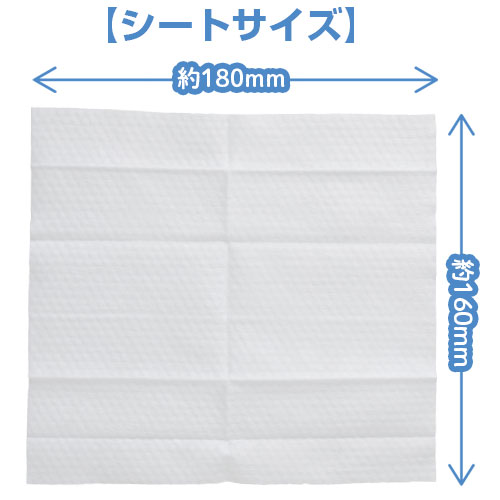 拭くノ助 レザーシューズクリーナー