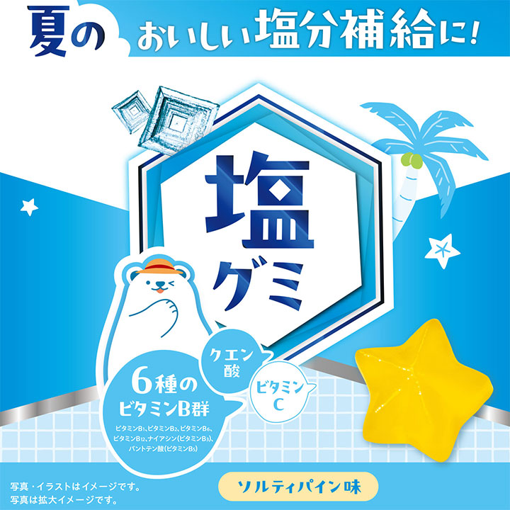 塩グミ ソルティパイン味